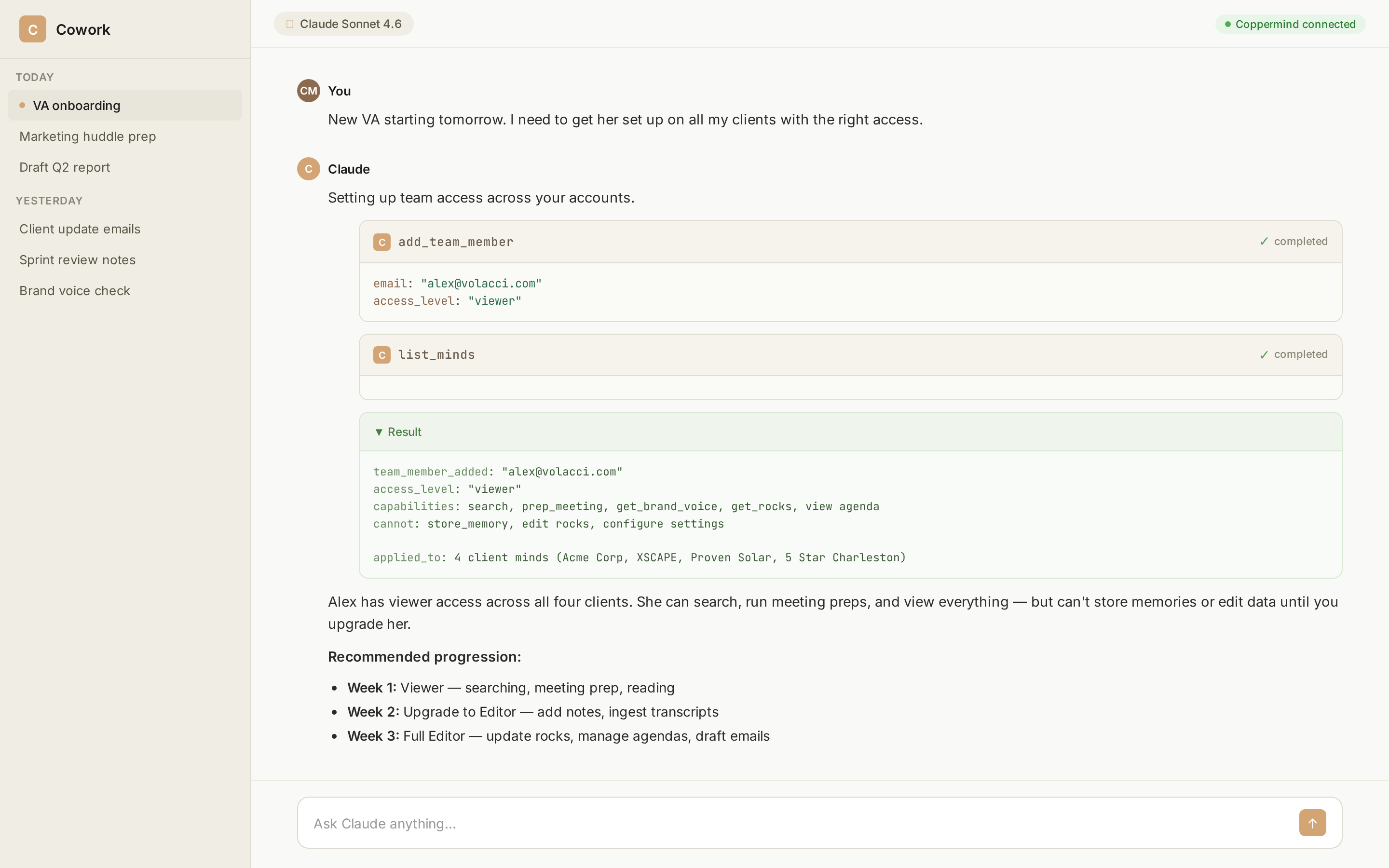 Setting up a VA with viewer access across all client minds